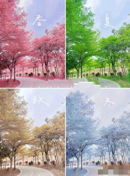 四季冷暖轮回，背后藏着地球运行的底层逻辑
 
为什么会有四季，夏天热冬天冷？四季