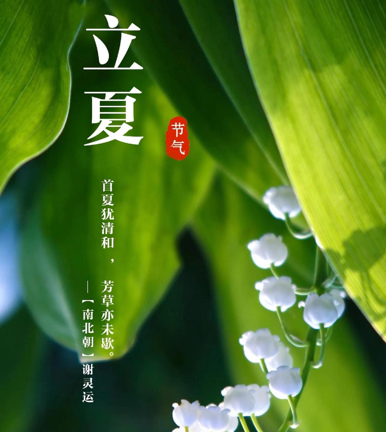 立夏抒怀｜春去夏来万物盛，一诗尽赏清和好风光
          文/张和平
细