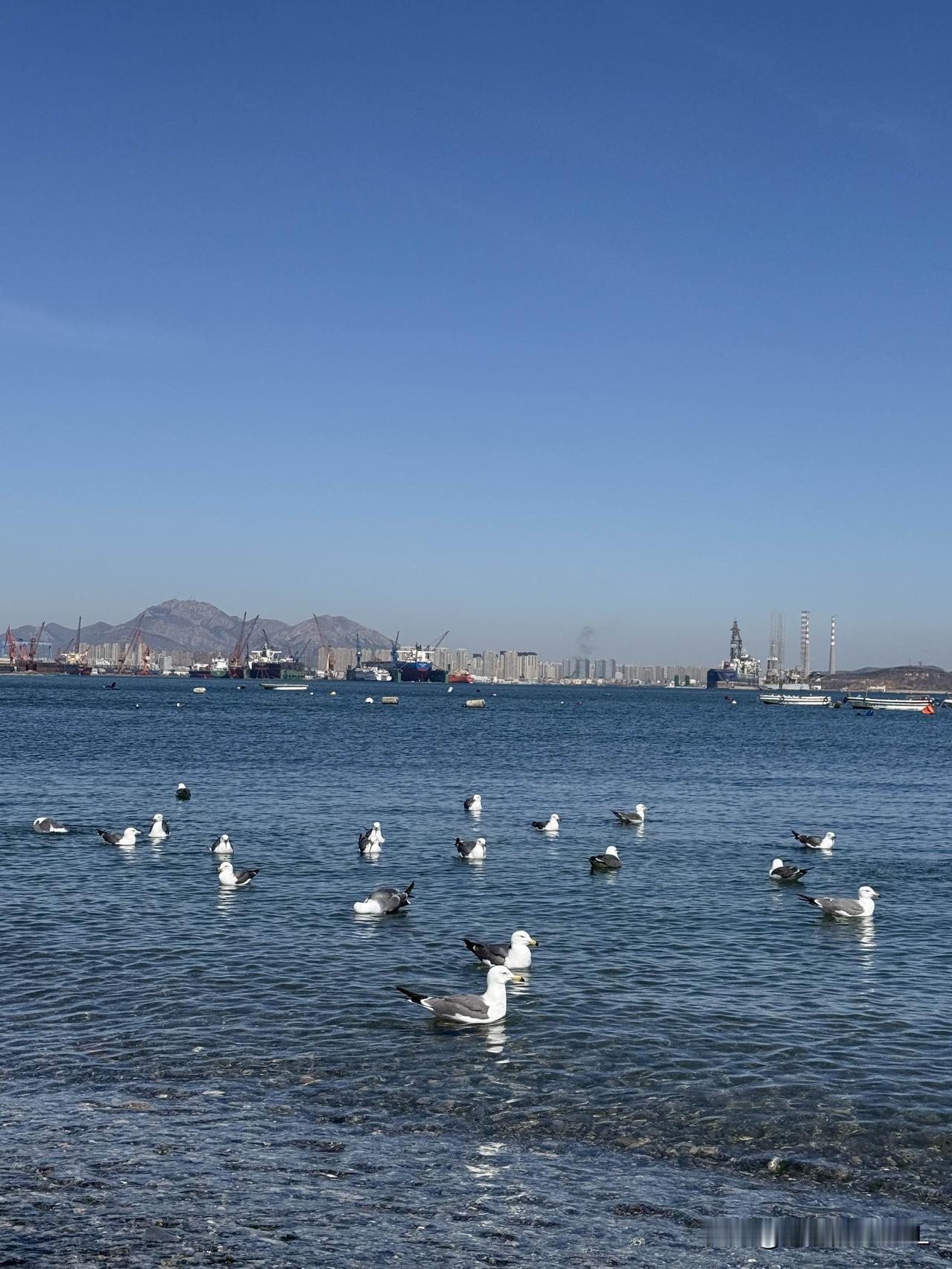 最近看到新闻，2025中国最美五大滨海地市，大连上榜了！

我一个从内陆来的小老