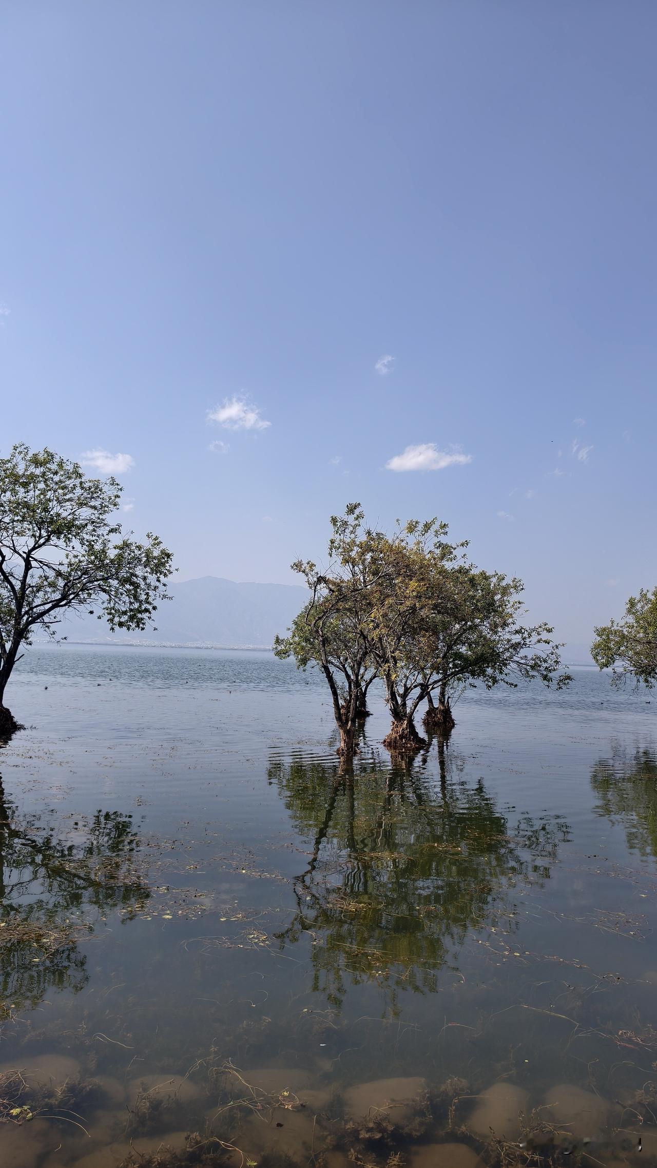 我们在大理过年，
洱海的蓝，真的不用加滤镜！在大理过大年，
看着这山这水，
感觉