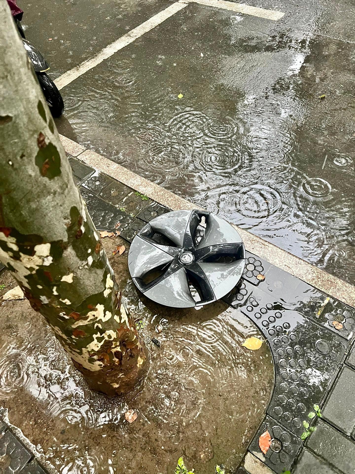 这是一个悲伤的故事…… ​​​
