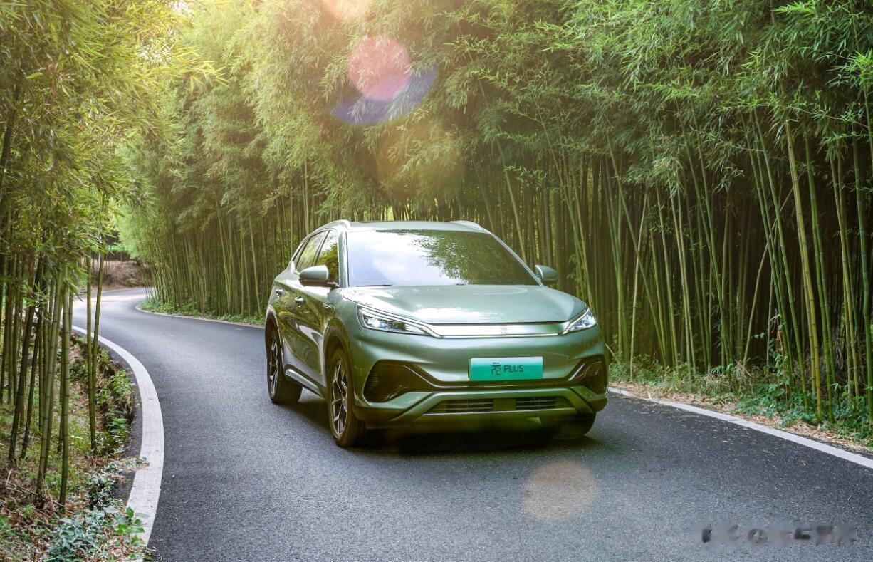 31456辆！比亚迪元家族再破3万辆大关！前7个月的累计销量是237609辆！这