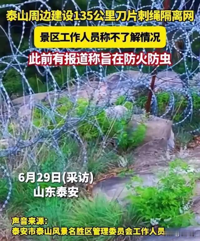 135公里刀片网围山！今年6月底，泰山景区135公里滚筒式刀片刺绳隔离网被网友曝
