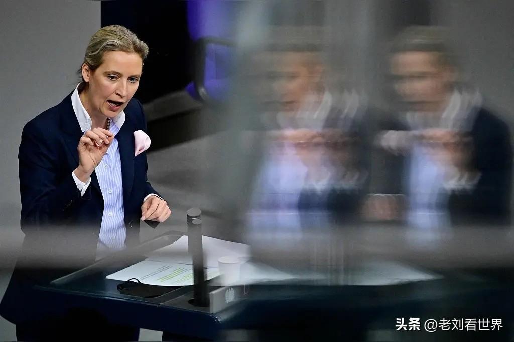 【魏德尔：德国需要重新选举】
柏林时间2026年7月24日，在德国总理 弗里德里