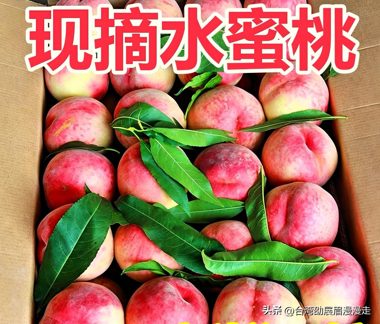 台北人在苏州，网上买水果，每次都上当，当当不一样。梁静茹也没有给我勇气，我怎么还