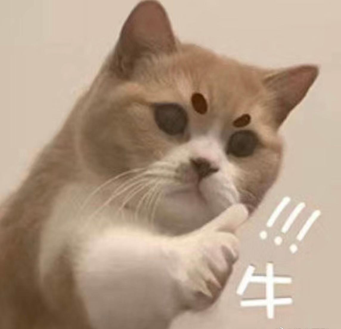 改造全程尊重原建筑，只用智能家居适配现代生活，让老宅既带着岁月的厚重，又有当下的