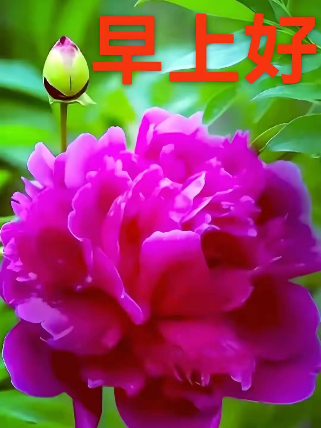 南浦诗联微信群交流录27

说点题外话。我所在的诗社，连我算在一起，有四人是同届
