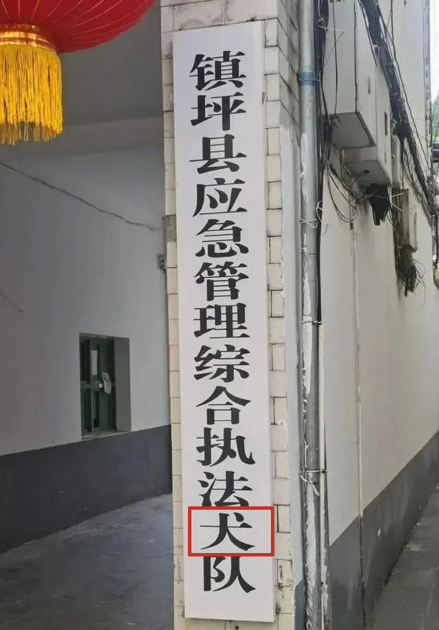 【“执法大队”变“执法犬队”，官方通报：10岁当事人玩耍时所为】据“美丽镇坪”公