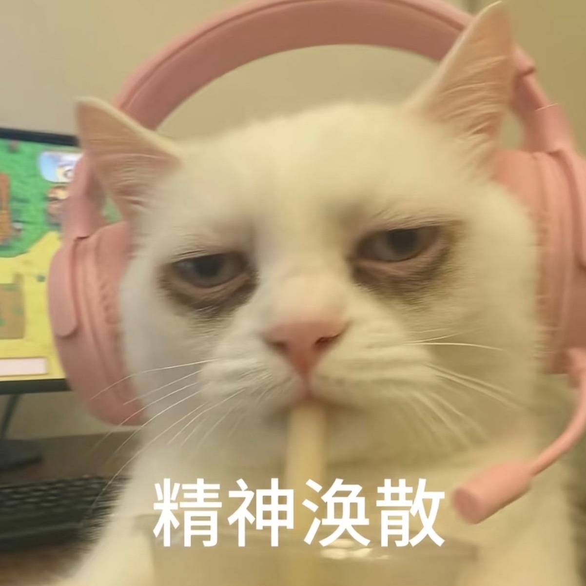 好饿好困感觉我的灵魂已经回家睡觉了 