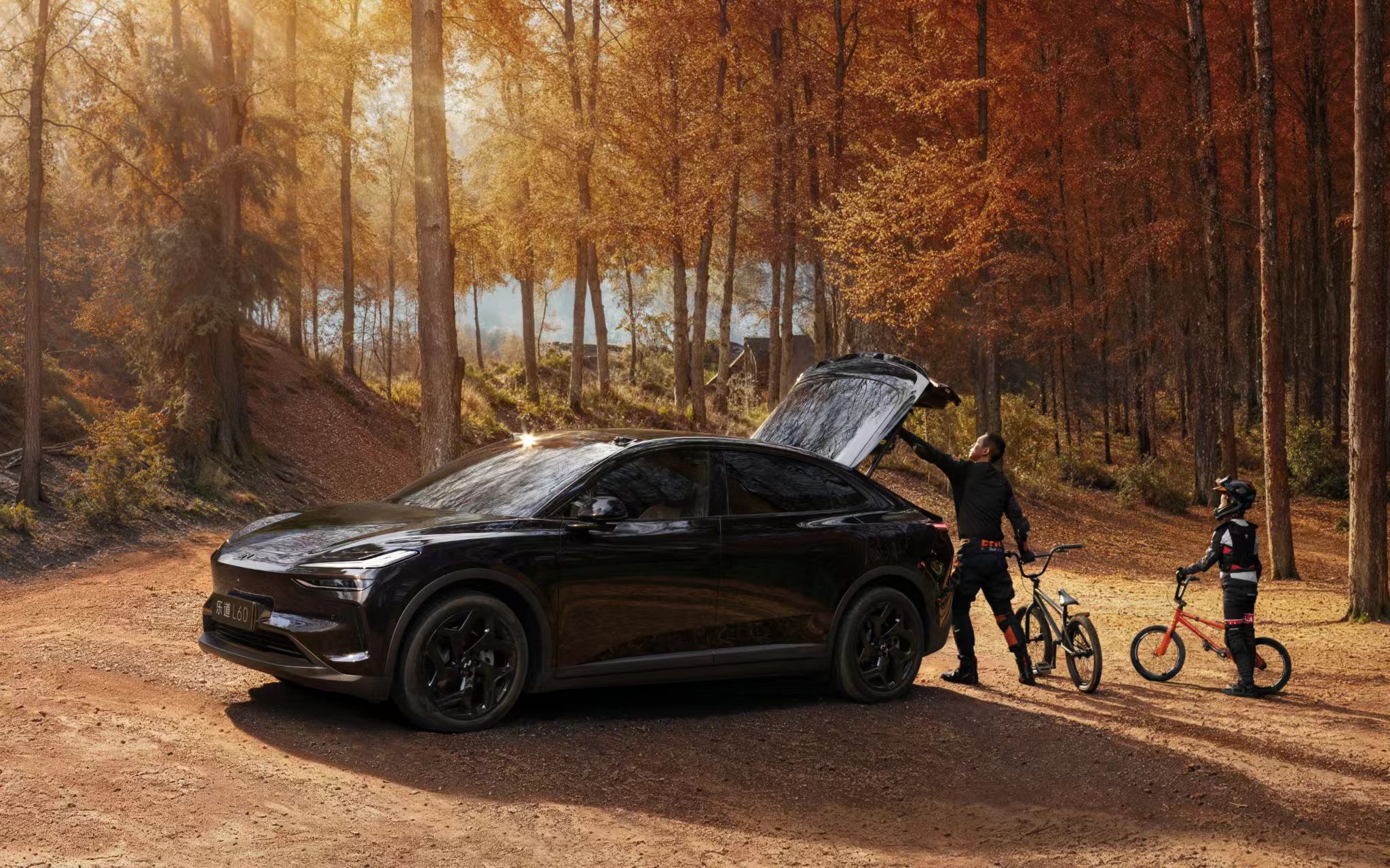 乐道L60黑骑士，限量666台，整车售价21.19万元，采用电池租用方式购买售价