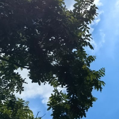 想远离手机一天，想去深山老林清静一天…… 