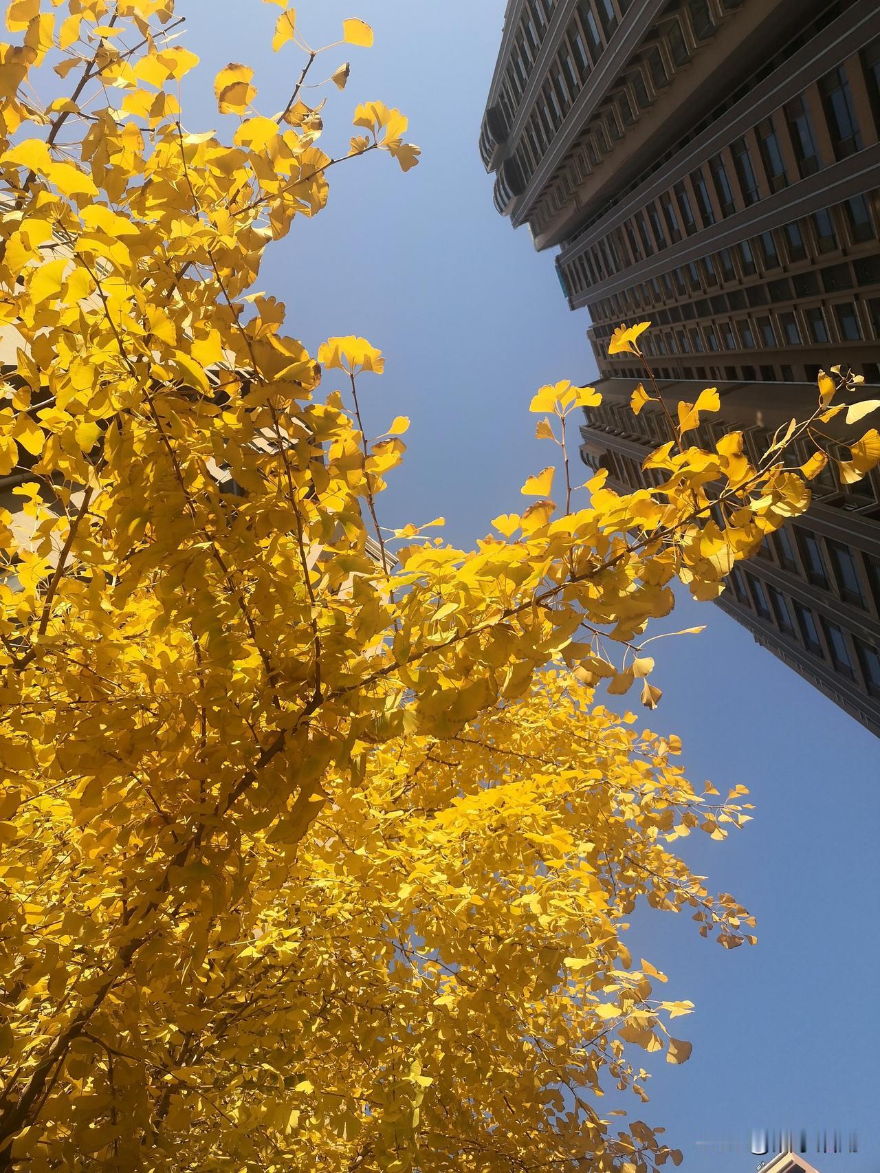 顺口溜
         《保健》

冬吃萝卜夏吃姜，

不找医生开药方。

流