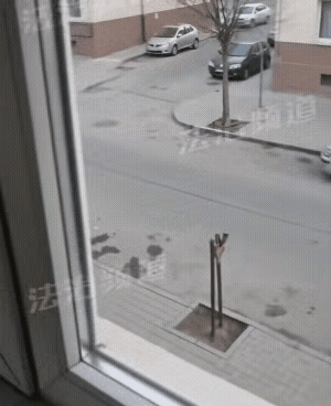 法制频道不但管人守法，还要管街头的猫打架[捂脸]
法制频道放出的一段视频，在一个