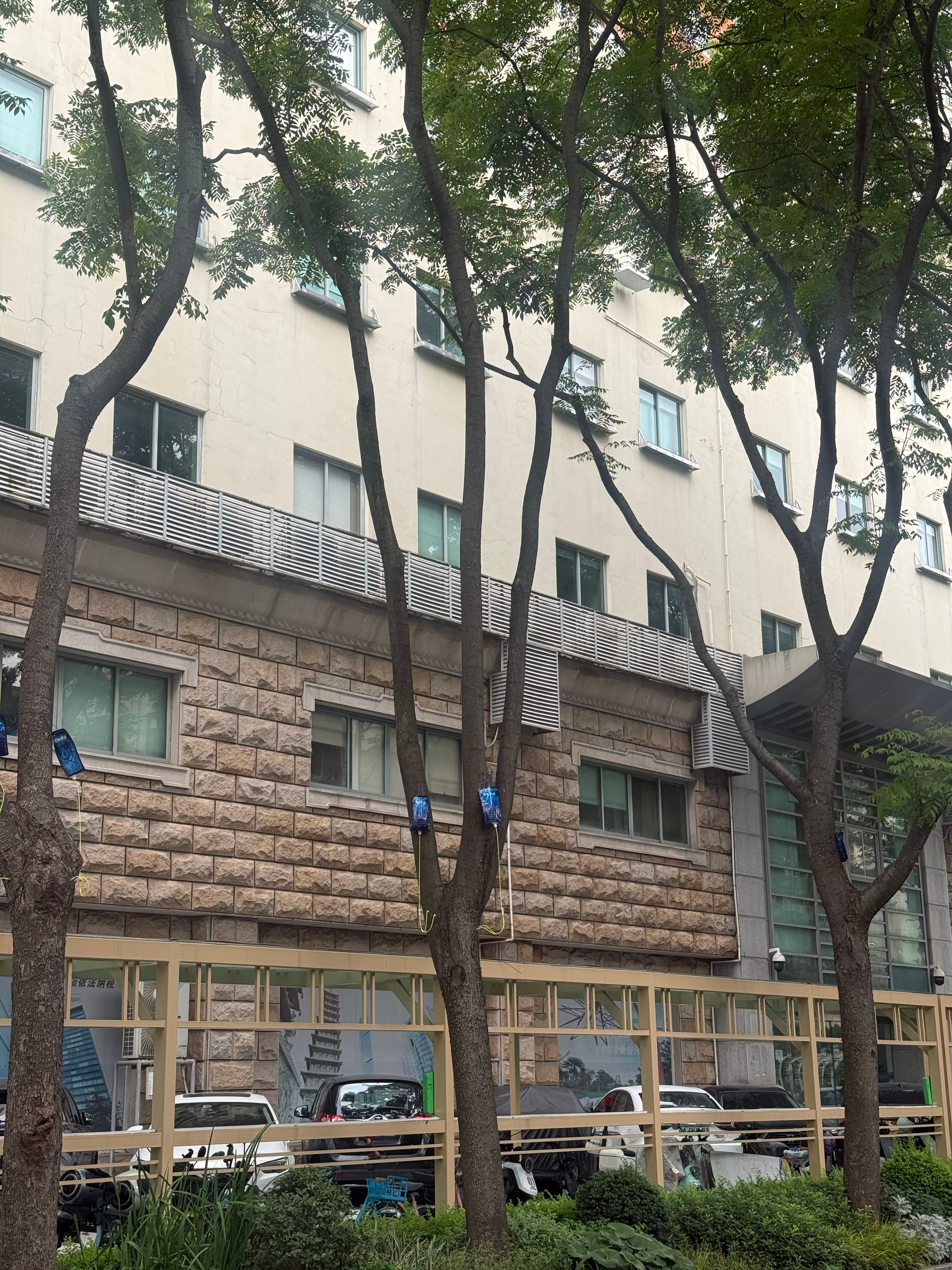 在上海的树都要挂营养针，所以人还是经常需要营养针的，每次打完NMN都是精力满满能