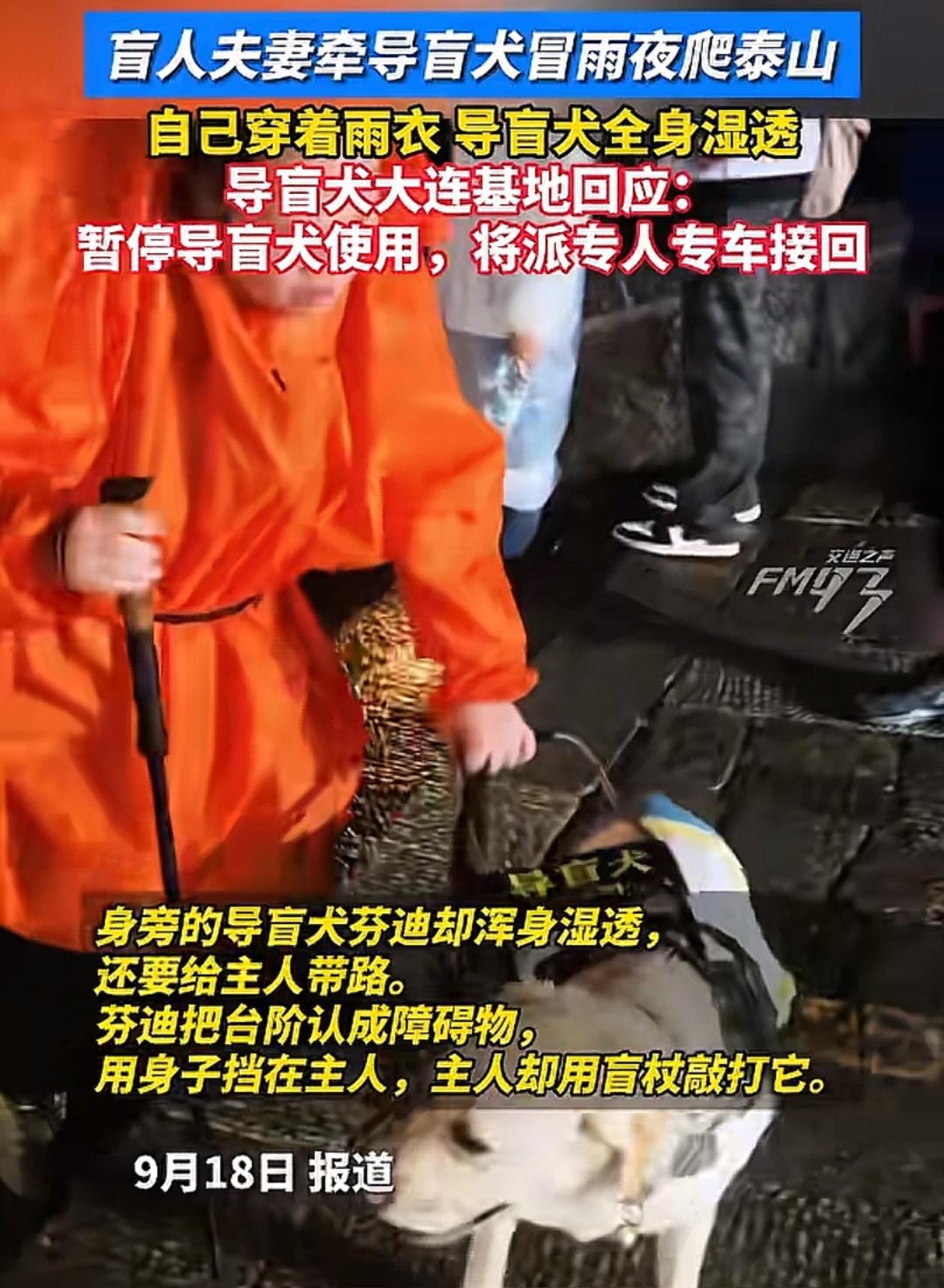 盲人夫妻被收回导盲犬其实一点也不冤3个自私行为让我无法同情他们，导盲犬芬迪是拉布