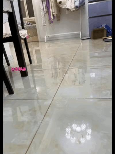 说好要出去玩，铲屎官又无动于衷，猫咪只能这样提醒铲屎官了。