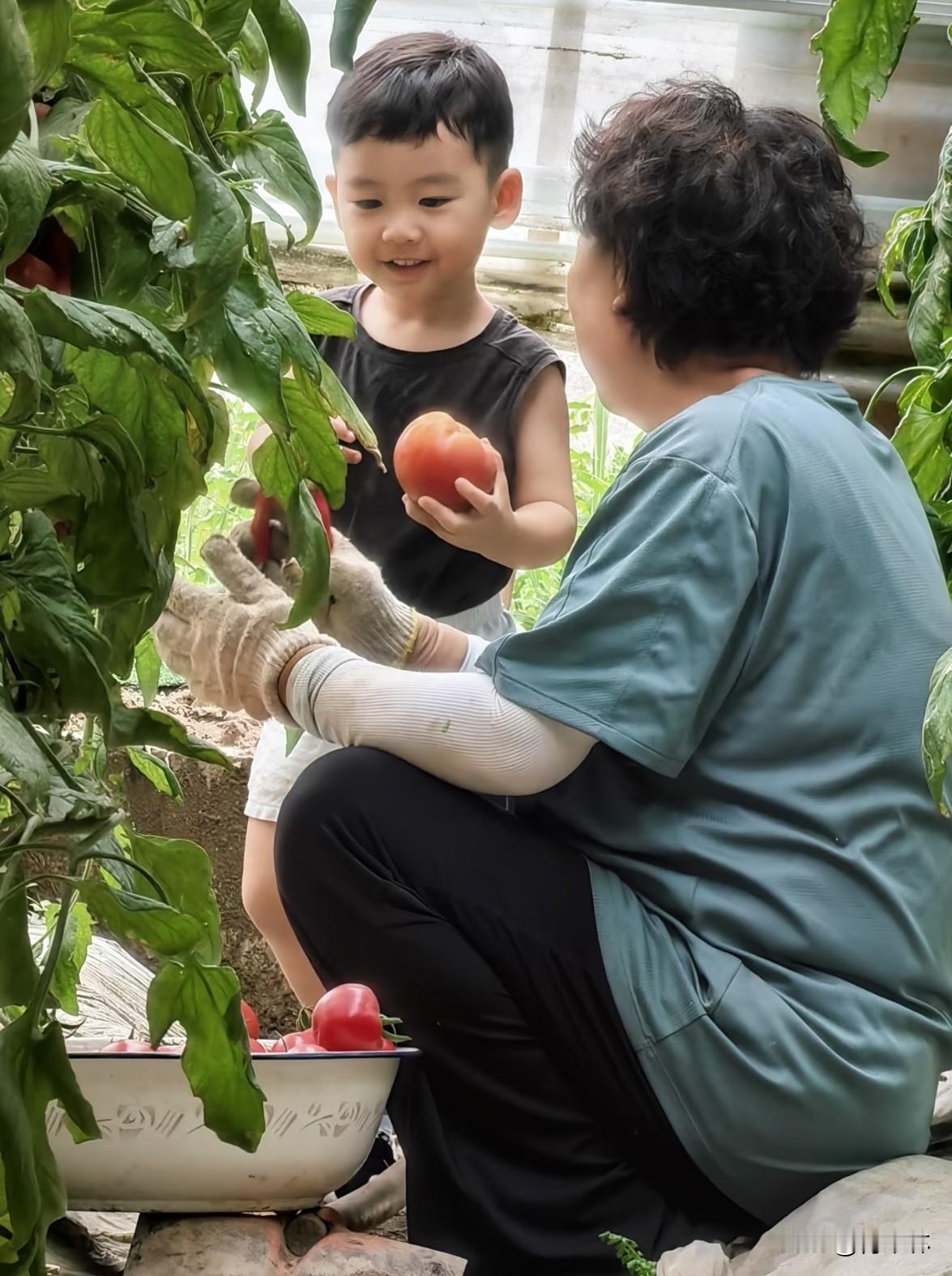 为什么老人尤其喜欢孙子我认为老人偏爱孙子，大多是心里的传承感在作祟。一方面老一辈