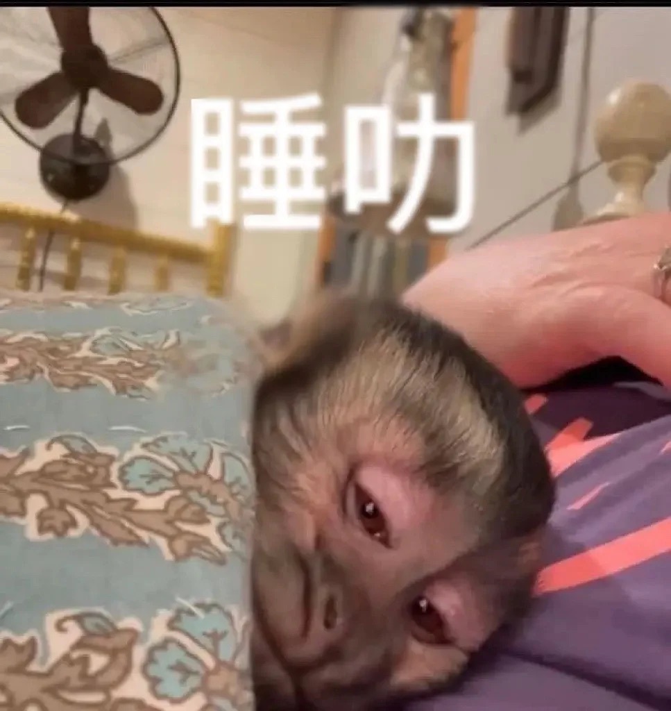 今天收的表情包，很实用 ​​​