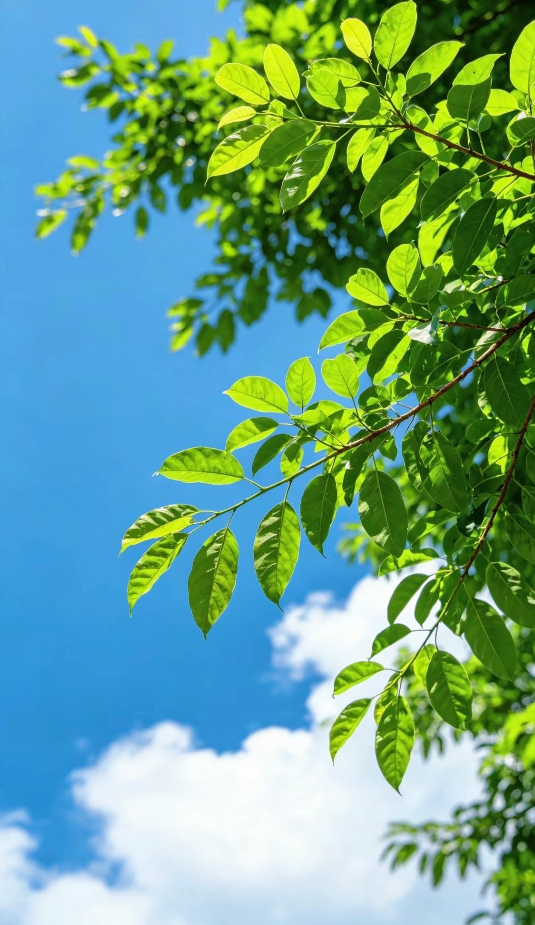 每日一善每日一善 善意是大爱，大爱使人成长。人若拥有了善良，那么，纵然从来都是一