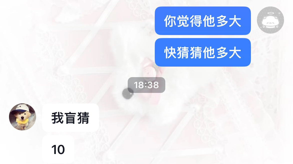 青柳将翔是10年的大宝宝 