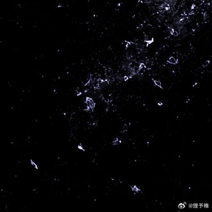 0000拾捡日常的碎片星光我们总习惯于仰望远方盛大的风景，总觉得美好藏在遥不可及