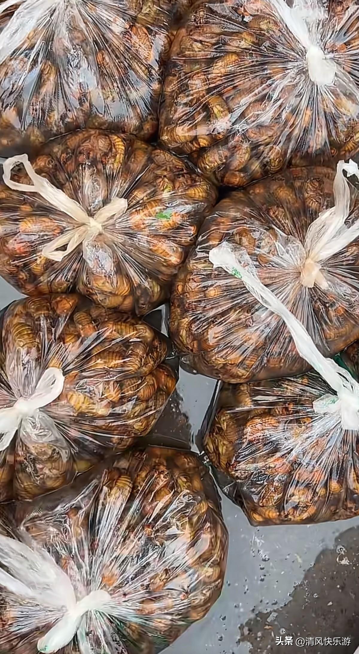 一个人在家做电商，忙的飞起来了，今天大爆单，一天能挣上班半年的工资，累点也值了。