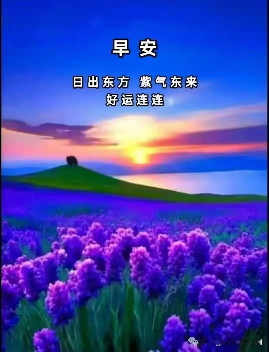 早安！日出东方，紫气东来，愿新的一天平安顺遂，好运常伴🌷