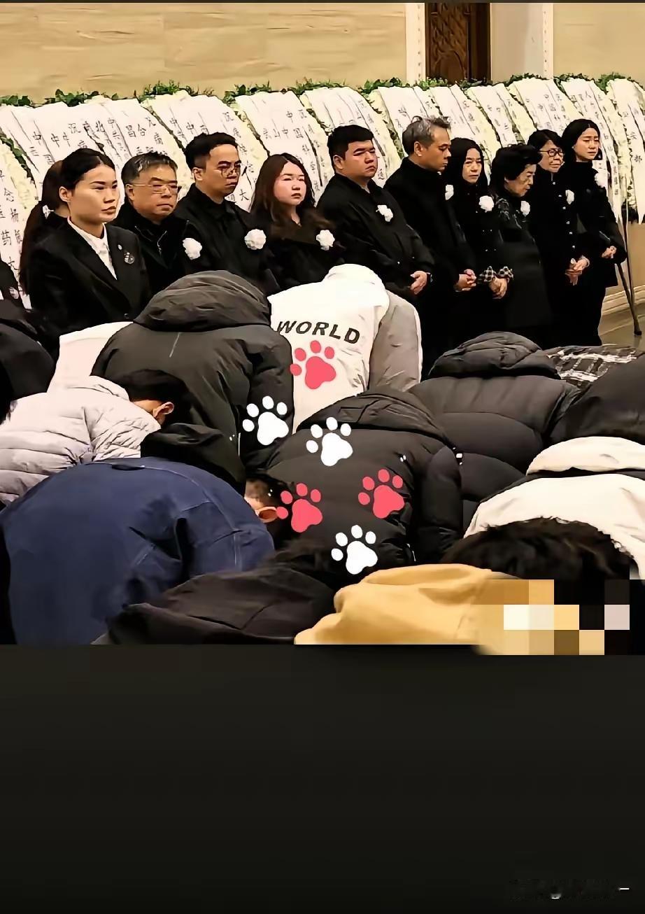 翁帆的付出是得到众人认可的[赞]
在杨振宁送别的礼堂里
她在家属队排第一个[祈祷