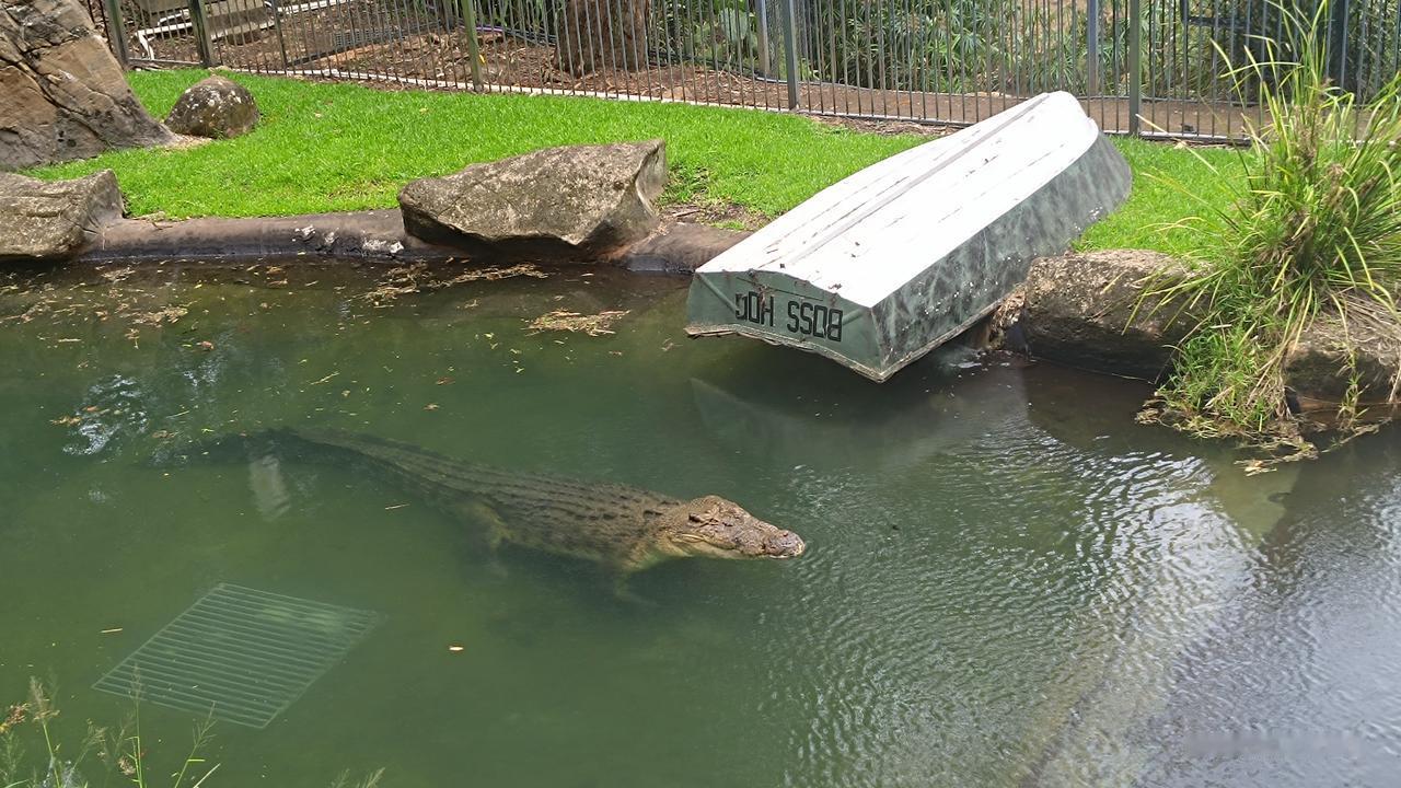 澳大利亚布里斯班