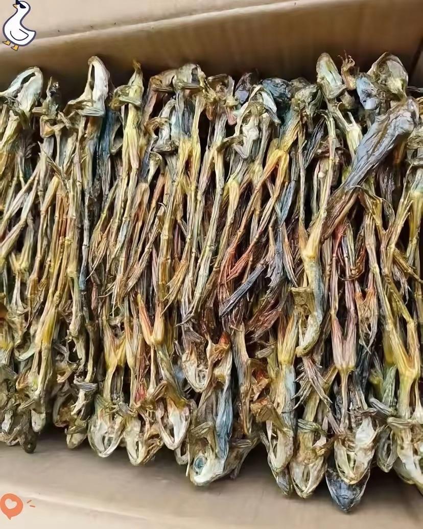 应该没有人认识这是什么吧？