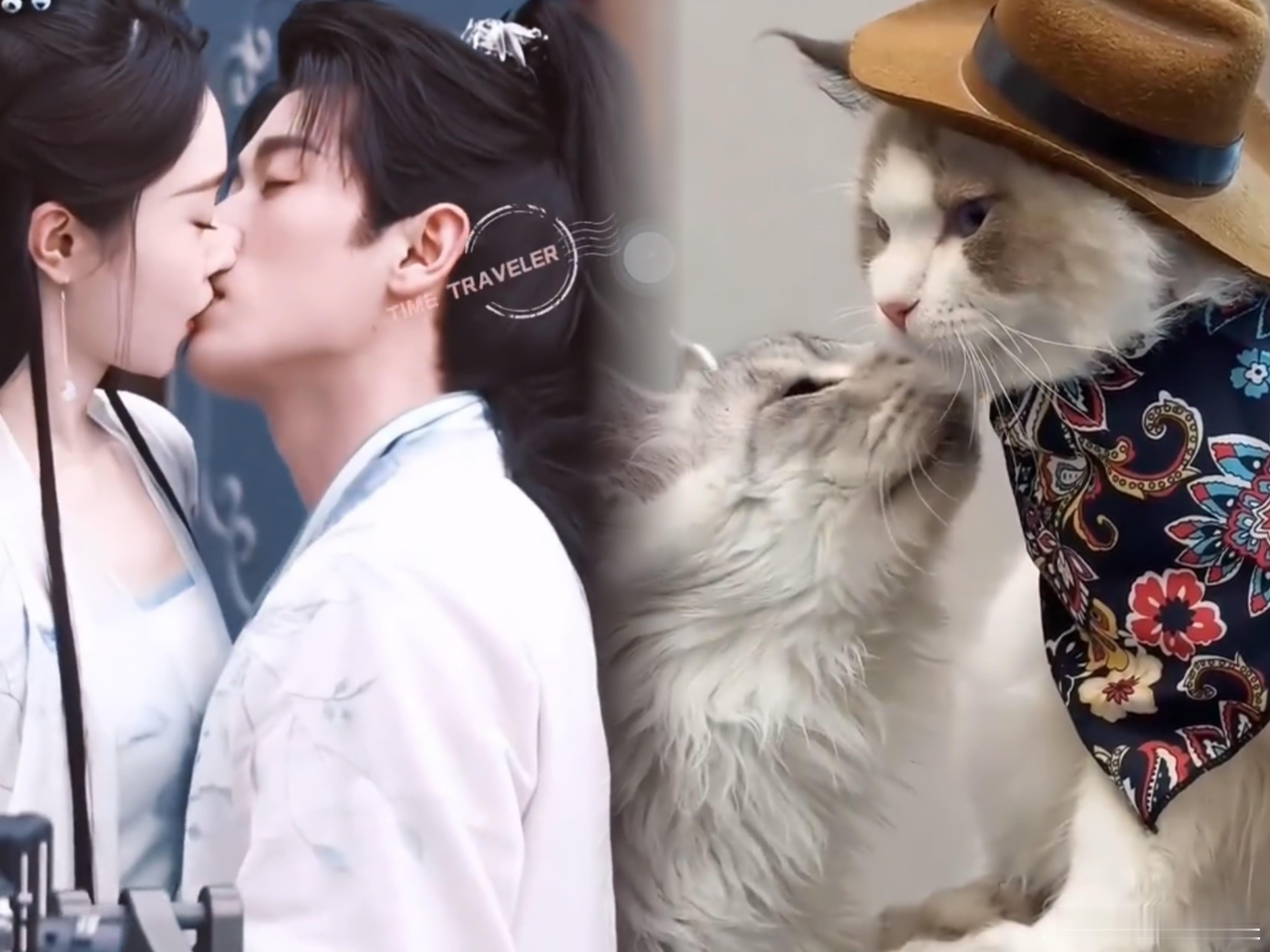 猫塑宋轶丞磊的人简直是个天才 他俩接受采访时，宋轶会不自觉玩手指像小猫踩奶，丞磊