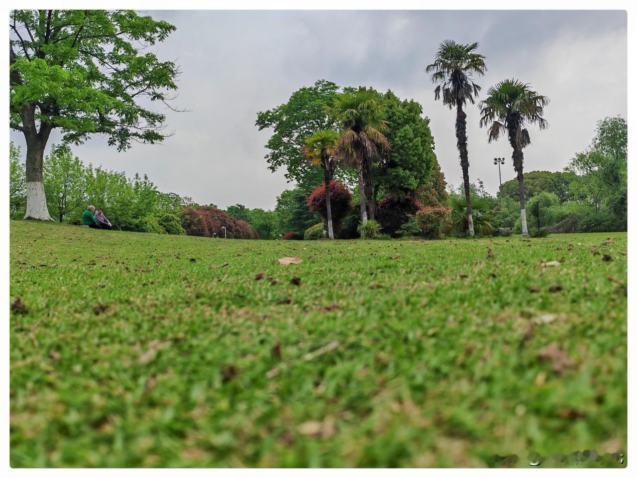春日，充满了被风揉碎的温柔。脚下的草坡正酝酿着蓬勃的生机，枯褐的草茎间，新绿的草