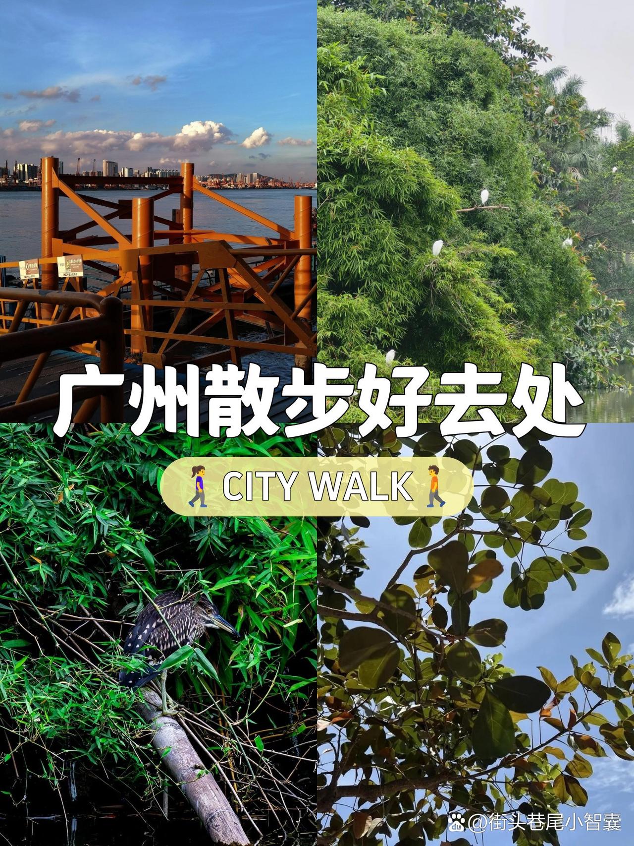 🌿春日漫跑指南｜长洲岛绿意路线全攻略

在长洲岛发现了一条超治愈的跑步路线！全