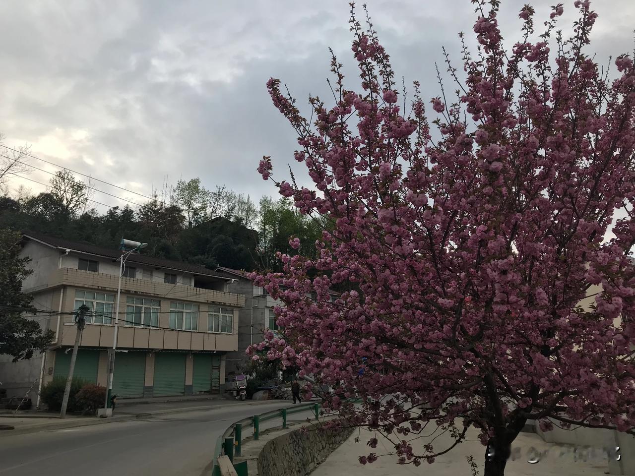 鸡公山 出发的时候是下午5点半，天气还是灰蒙蒙的，就像图1那种感觉，结果越往山上