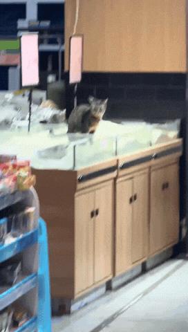 还在买超市里的散装米面吗？
反正我看完是一点都不敢去买了，之前还喜欢买面

这超