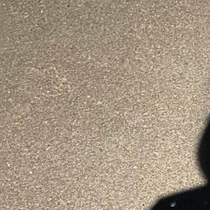 随手拍你好呀！ 