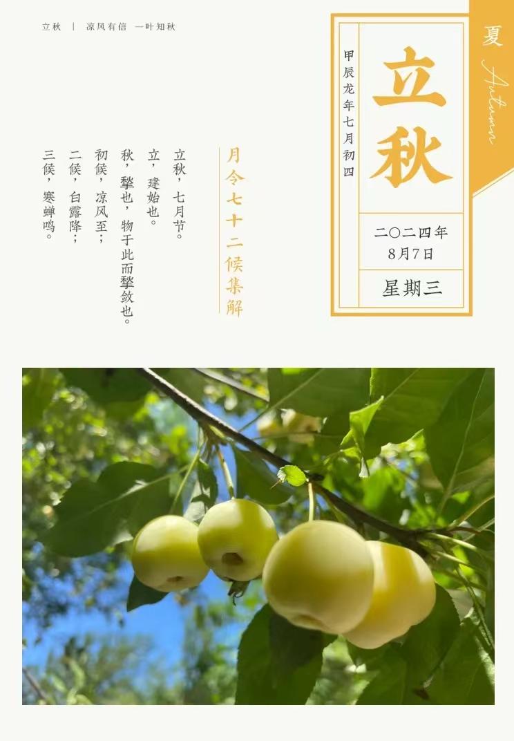 今日立秋啦
每年的8月7日或8日是立秋节气，是一年的第13个节气，立秋节气的到来