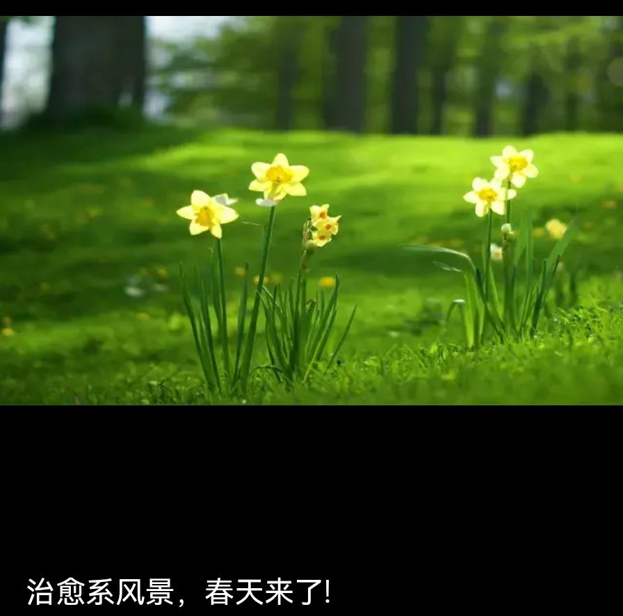 春风拂过枝头，嫩芽悄悄舒展，连风都变得温柔又治愈，这样的春日时光真让人沉醉。