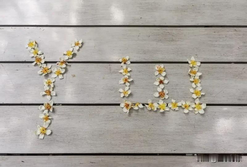 陈汉典与Lulu举行婚礼这事儿直接在网上炸开了锅，相关话题直接有6亿阅读量，可见