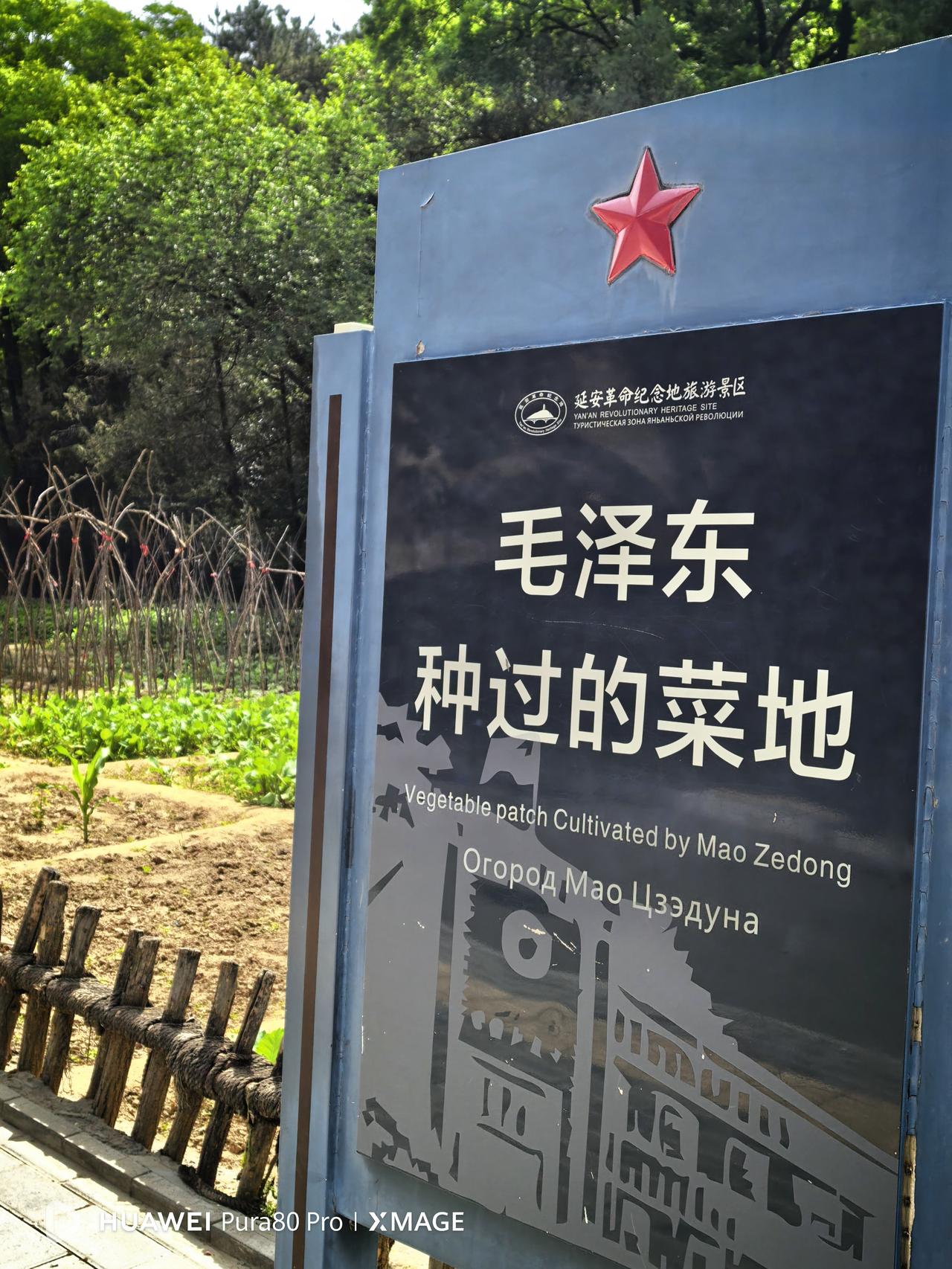当年陕北革命根据地被严重封锁的情况下，边区军民开展了轰轰烈烈的大生产运动，上至中