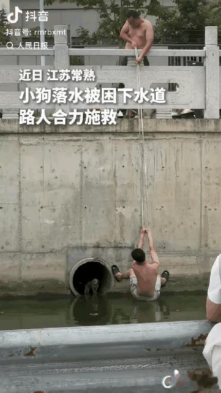 “没想到上人民日报了。”江苏常熟，一小狗落水被困在下水道里，本以为一生就要在此度