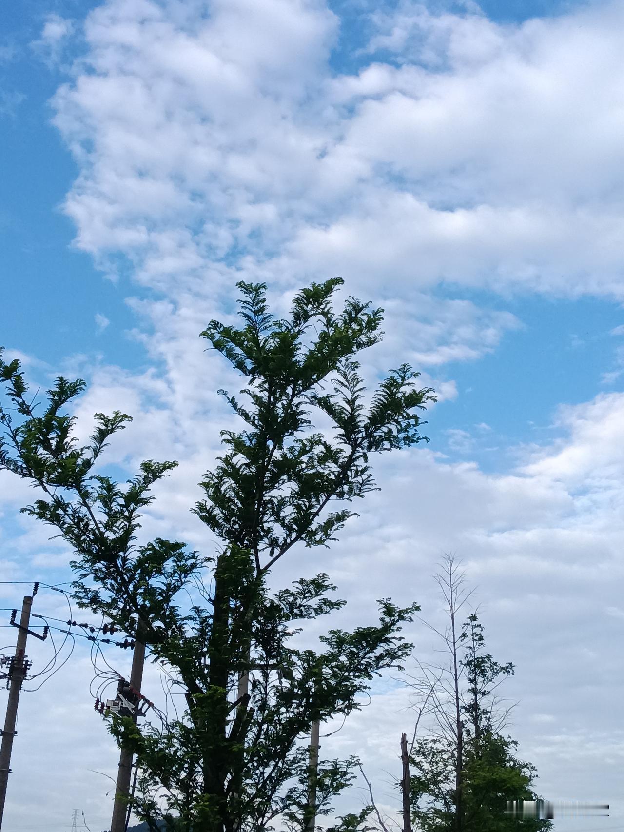 流浪大师沈巍到底是不是在靠噱头赚钱？这一点不得而知。我们还是要尊重个人隐私的。但