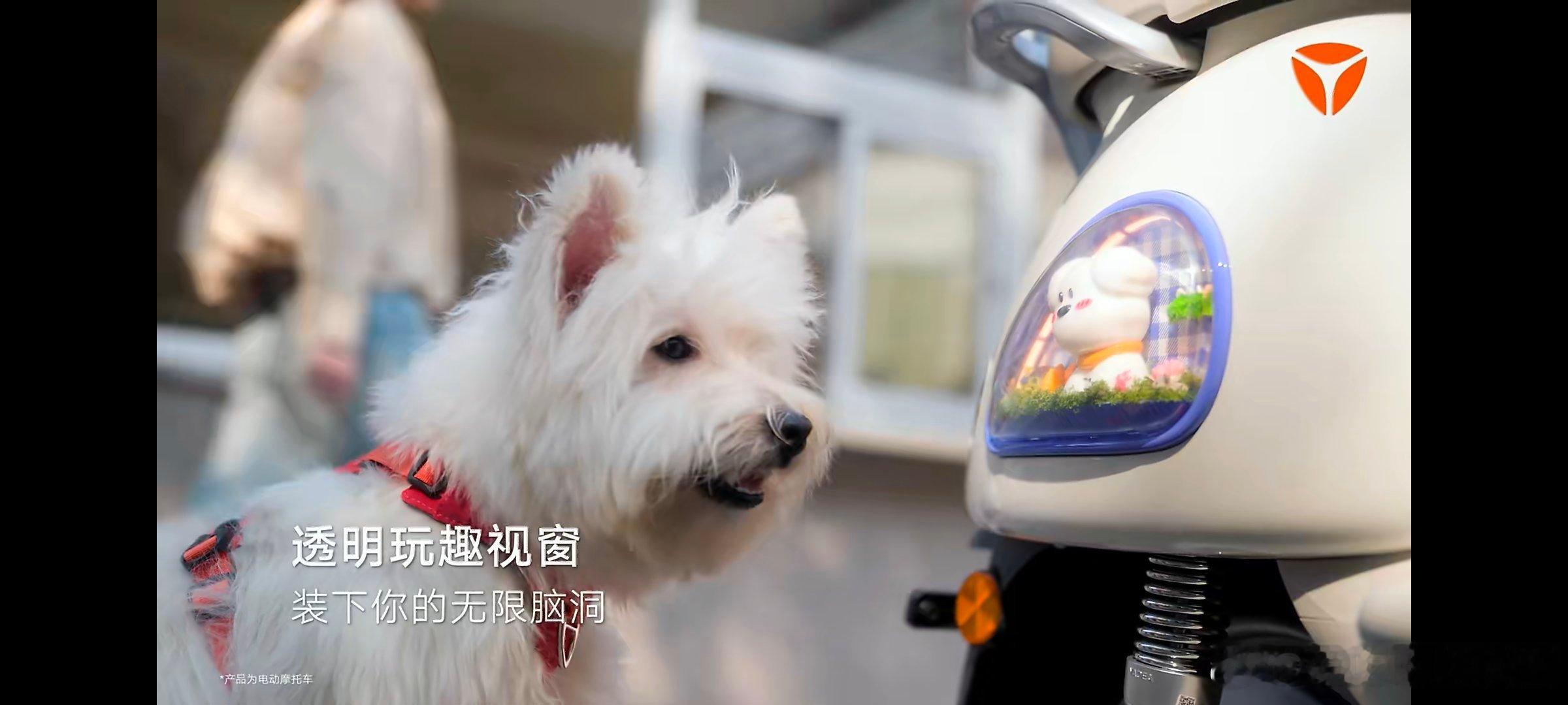 和王鹤棣一起闪耀摩登之夜王鹤棣和雅迪的摩登之夜  好喜欢王鹤棣同款电动车呀，平时