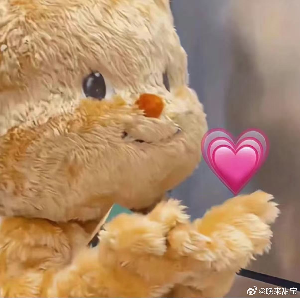 正式调整为美加墨作息部分夜猫子跟风尝试早起养生，生物钟一时适应不过来，反倒出现睡