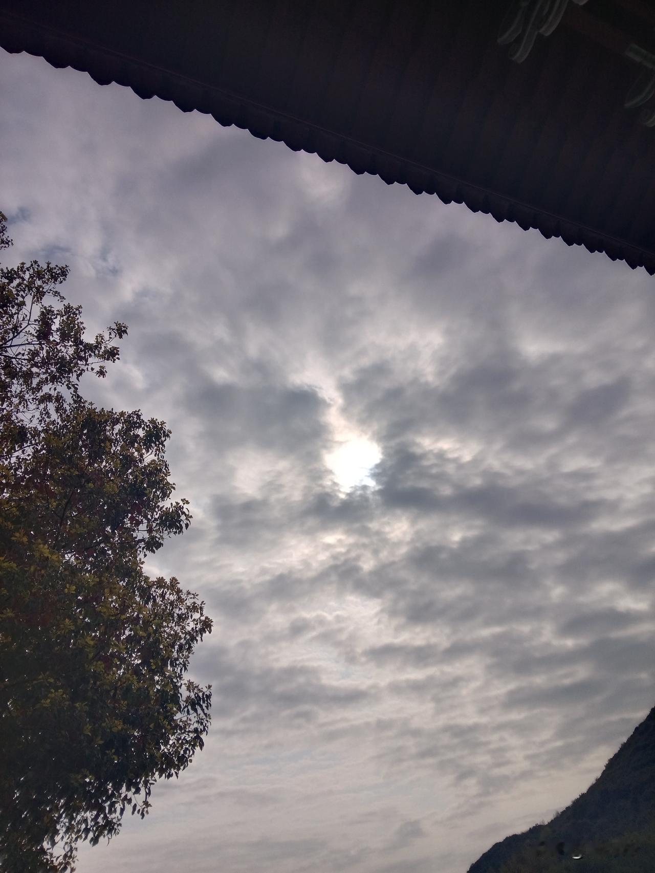 我总感觉，在关系国计民生的一些问题上，有时用力过猛，效果反而很不好。从上世纪80