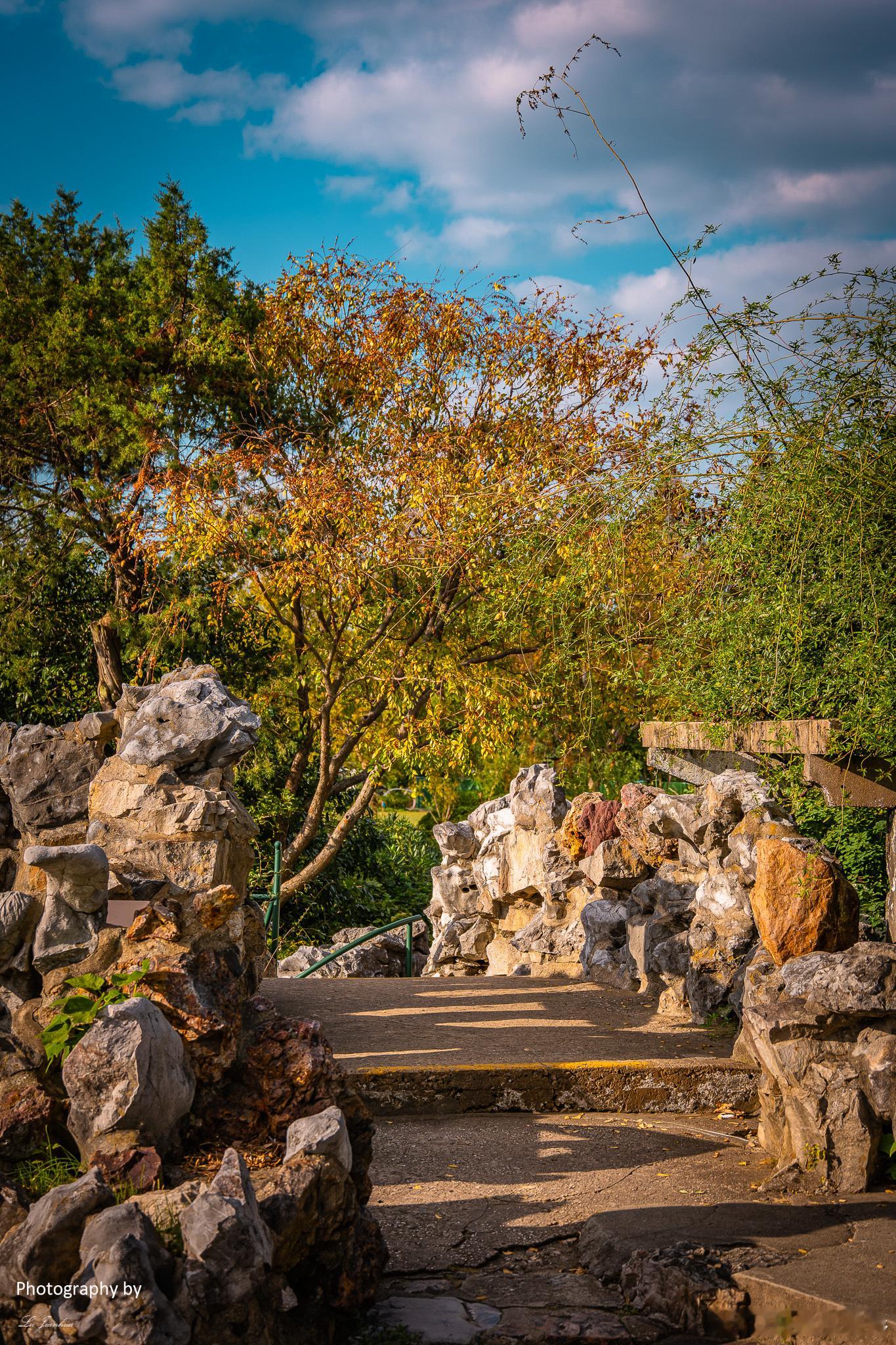 无锡蠡园，冬日最美好的时段就要过去了，那些留存在相机里的照片还未晒完。 