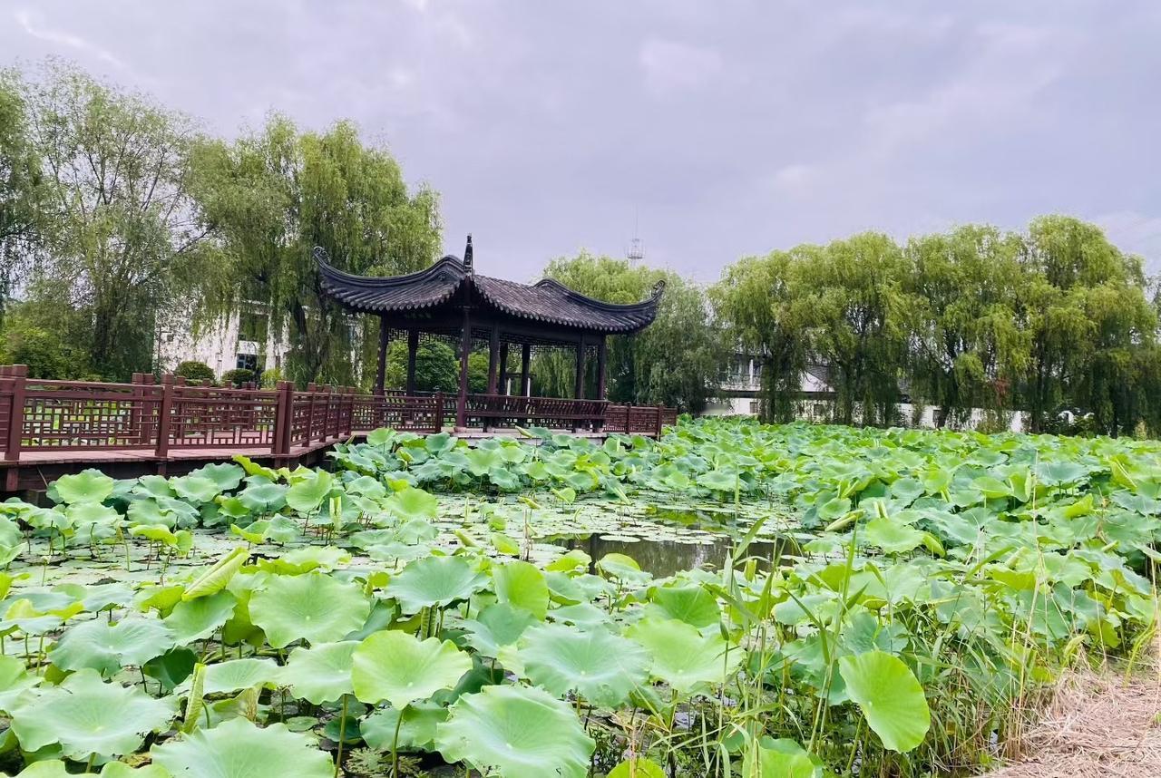 看完唐家两兄弟之事，我觉得湘潭大学应对的这场诉讼，根本没有悬念，一定会胜诉！
 