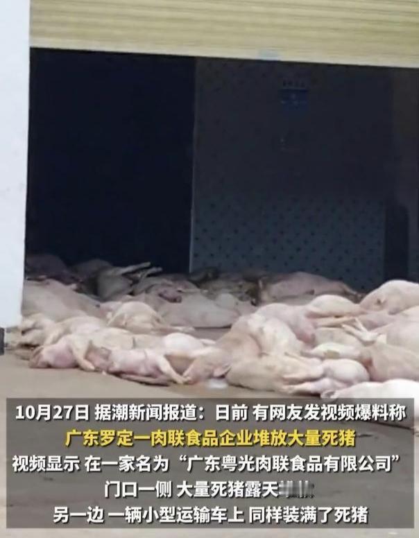 近期，两则官方通报聚焦食品安全领域，暴露的问题与后续处置引发社会广泛讨论。
 