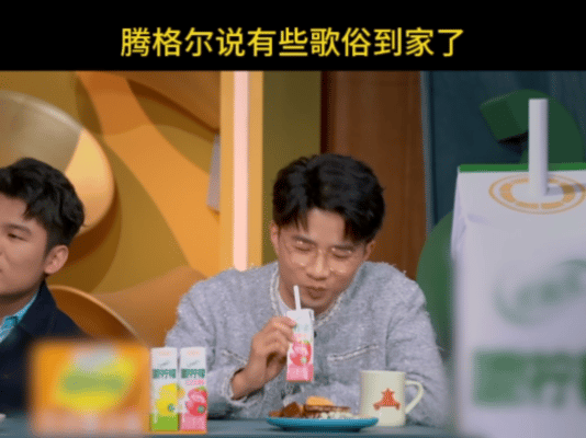 腾格尔说有些歌太俗但不敢说 腾格尔吐槽圈内歌曲“俗到家了”这段，节目效果直接拉满