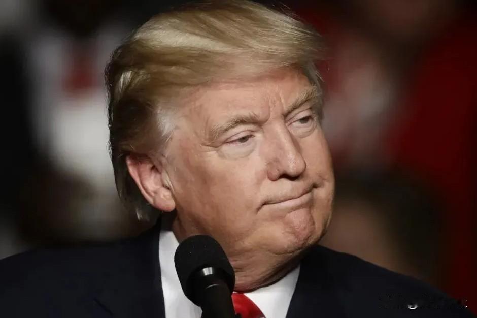 爱情、打仗两不误！
同样要攻防！

普大京这声望、地位，找女的应该很容易，关键找